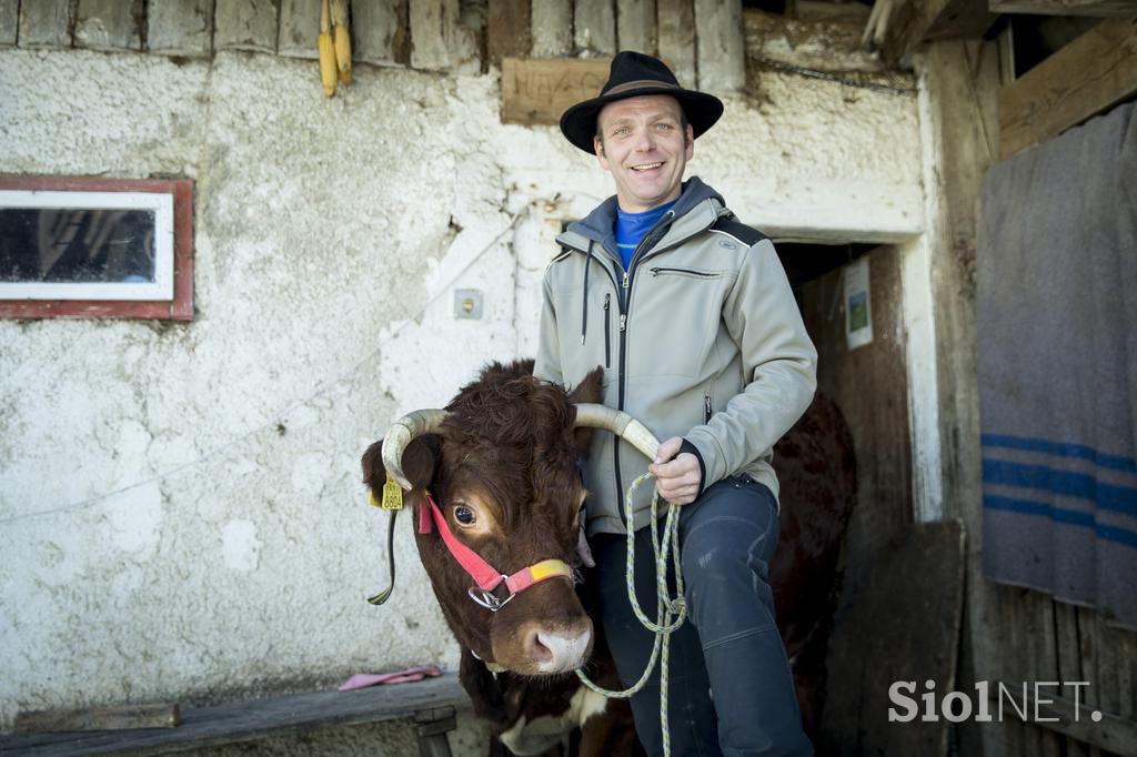 Kmetija Smolej Miha Planina pod Golico