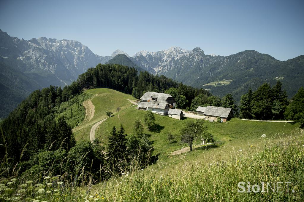 Izletniška kmetija Klemenšek Logarska dolina