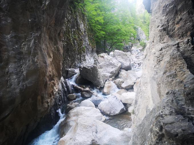 Predor Jelendol Tržič | Foto: Gregor Pavšič