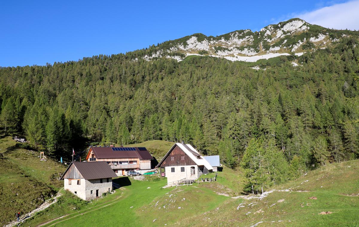 pohod Mrežce Pokljuka | Blejska koča v Lipanci in nad dno gora Mrežce | Foto Matej Podgoršek