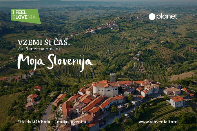 Goriška Brda. | Foto: www.slovenia.info/sl