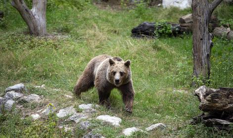 SDS s predlogoma novel zakonov o zaščiti živali in KGZS