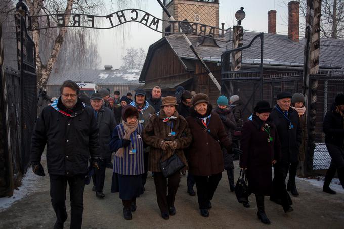 Preživeli iz Auschwitza so posvarili pred desničarskimi in populističnimi gibanji v številnih evropskih državah. | Foto: Reuters