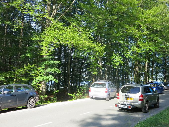 Cena celodnevne vozovnice, ki bo veljavna 24 ur od prve aktivacije na avtobusu, bo dva evra. Brezplačni pa ostajajo prevozi za otroke do 14. leta starosti in za občane Bohinja, ki bodo morali zaprositi za pridobitev posebne kartice. Vozovnice bo mogoče kupiti prek spleta in v turističnoinformacijskih centrih. | Foto: STA