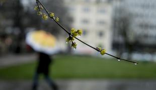 Prihaja nova pošiljka padavin, lepega vremena še ni na vidiku