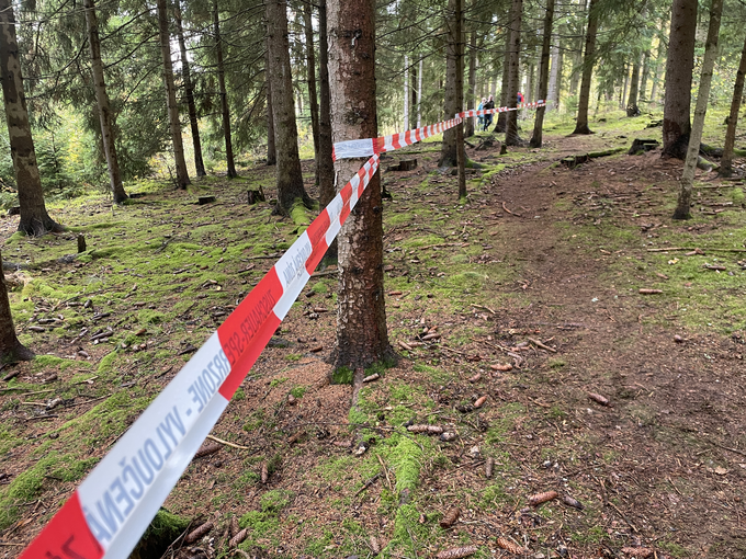 Pot skozi gozd do naslednjega ovinka .... | Foto: Gregor Pavšič