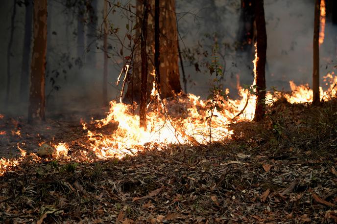 Avstralija | Foto Reuters