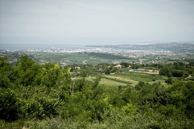 Po besedah koprskega župana na občini ocenjujejo, da je od 20 do 30 odstotkov nepremičnin v številnih koprskih vaseh neaktiviranih. V nekaterih primerih je solastnica neaktiviranih nepremičnin tudi občina, postopki aktivacije pa dolgotrajni in zapleteni. | Foto: Ana Kovač