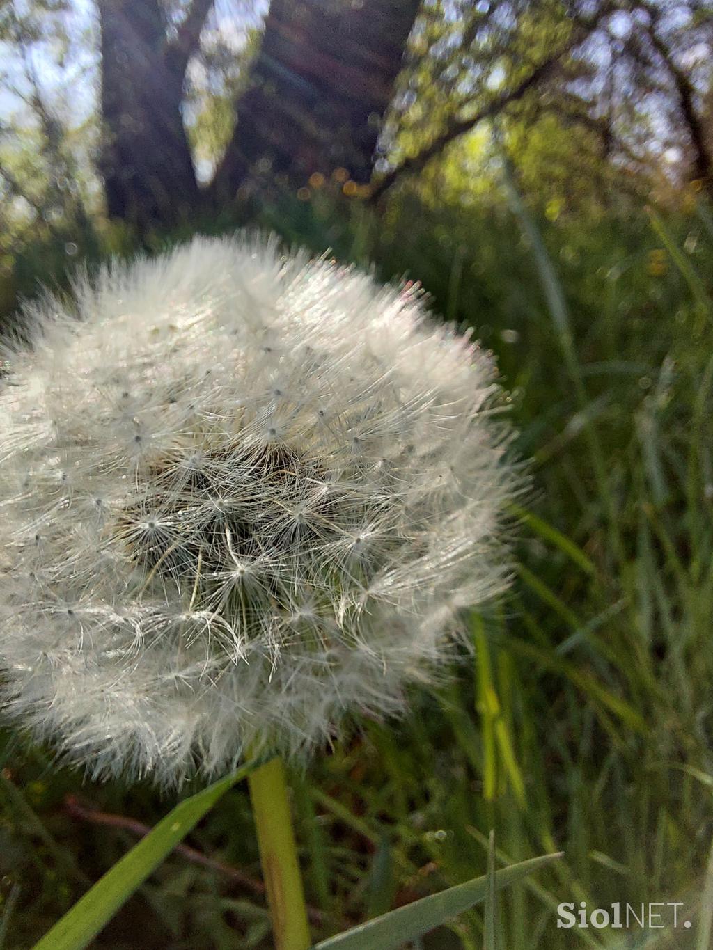 Fotografije s Samsung A52 5G