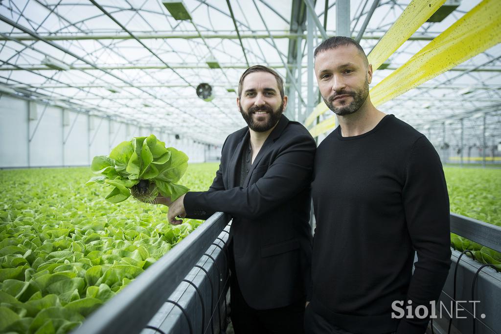 PanOrganix rastlinjaki Ljutomer solata Živa