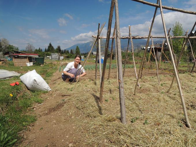 Zelenjavo pridelajo na domačem vrtu. | Foto: Osebni arhiv