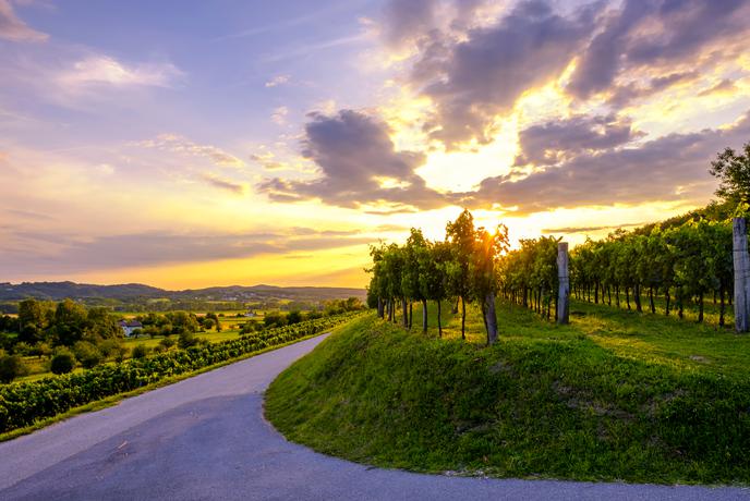 Nepozaben vzpon z razgledom na Vipavsko dolino