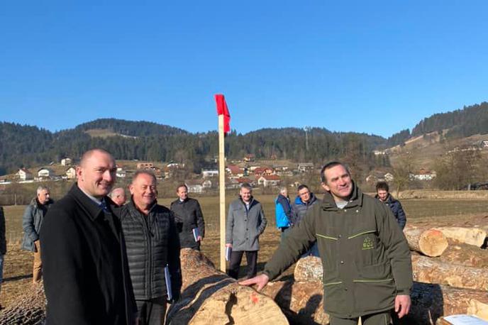 hlod |  Najvišjo ceno je dosegel hlod gorskega javorja rebraša.                        Fotografija je simbolična. | Foto Slovenski državni gozdovi