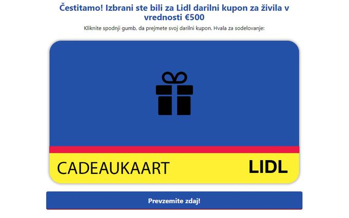 Lidl, Fake Lidl | Foto: Matic Tomšič / Posnetek zaslona