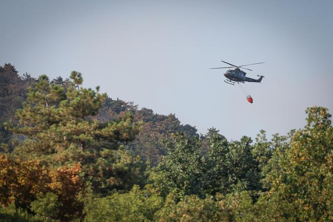 Požar na Krasu | Foto: Ana Kovač