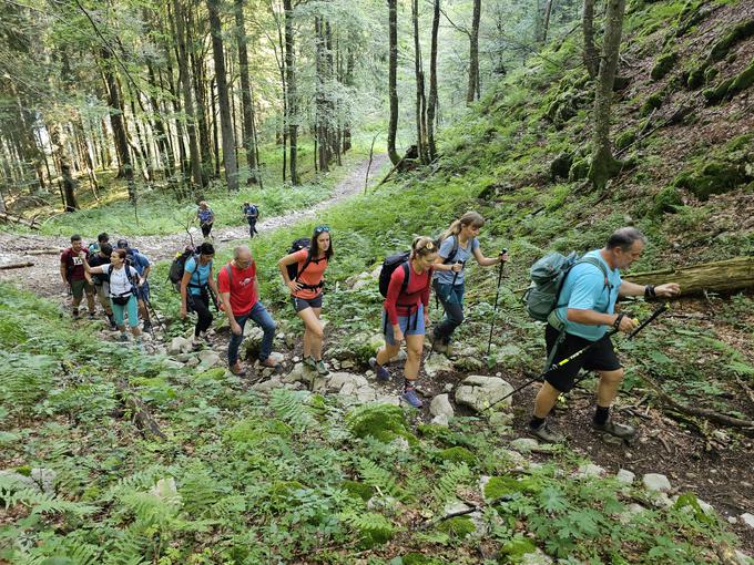 Slaba ura in pol vzpona iz Raven nad Bohinjem do Orožnove koče pod Liscem in Črno prstjo. | Foto: Manca Ogrin/PZS