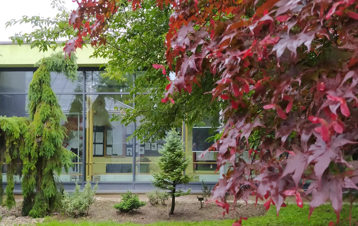 ŠHVU, Celje | Foto Šola za hortikulturo in vizualne umetnosti Celje