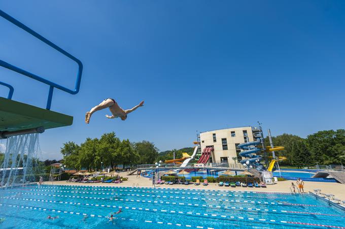 terme ptuj sava turizem | Foto: 