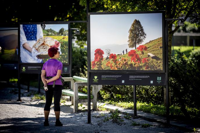 Odprtje razstave Cvetje v jeseni v Ljubljani | Foto Ana Kovač