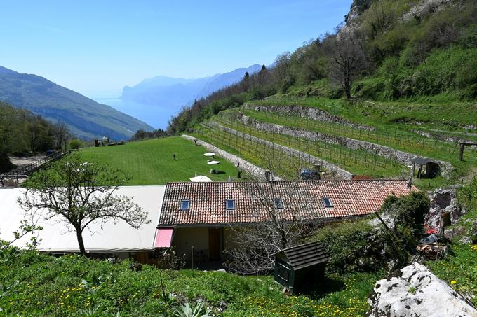 Sestop pod grebenom Monte Corno, mimo turistične kmetije Maso Naranch, kjer je mogoče dobiti malico. | Foto: Matej Podgoršek