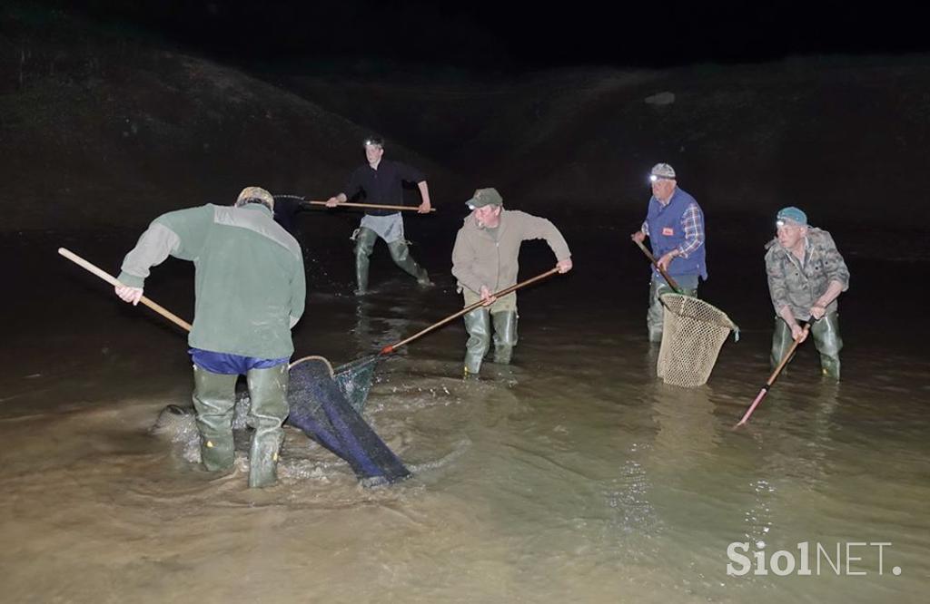 Cerkniško jezero reševanje rib