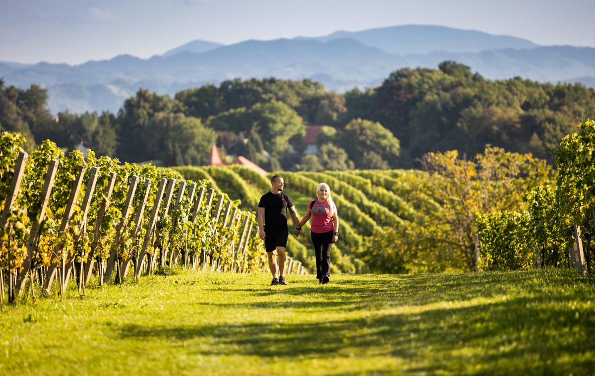 pohodniška pot Mestni vrh | Foto Boštjan Selinšek/visitptuj.eu