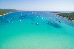 Na eno najlepših hrvaških plaž naplavilo več poginulih morskih želv