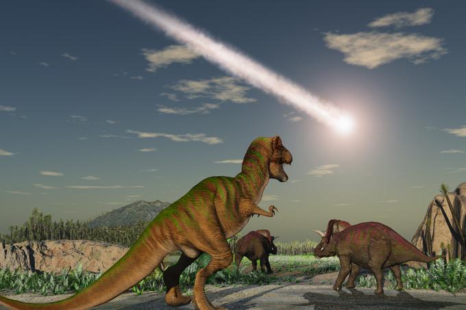 Dinozavri | Foto: Thinkstock