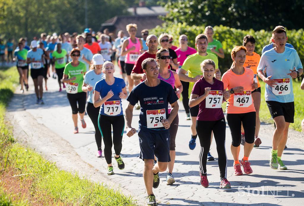 Konjiški maraton 2016