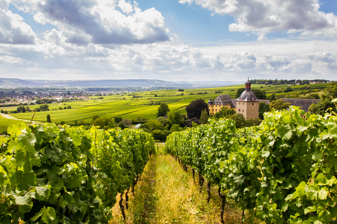 Vinorodna dežela Rheingau, dvorec Oestrich-Winkel Schloss Vollrads © DZT, Foto: Deutschland abgelichtet Medienproduktion | Foto: 