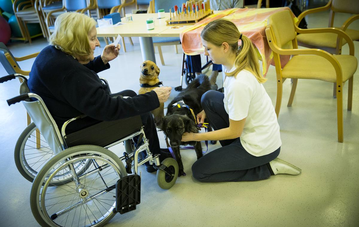 Center starejših Medvode dom za starejše starejši | Sistem zajema institucionalno oskrbo, oskrbo na domu, oskrbovalca družinskega člana in denarni prejemek.  | Foto Ana Kovač