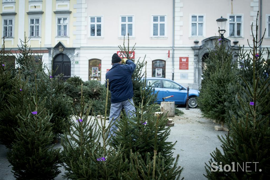 Božična drevesa jelke smreke ljubljanska tržnica