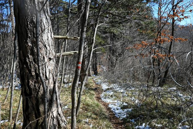 Sestop čez Mala Vrata, ko pridemo vse do hrvaške meje, kjer je še vedno bodeča žica zaradi migrantov. | Foto: Matej Podgoršek