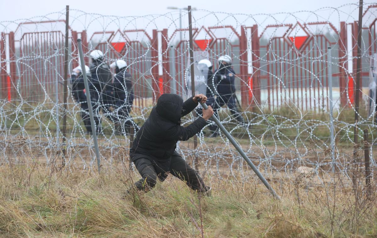 migranti poljska-belorusija | Migranti poizkušajo prečkati belorusko-poljsko mejo. Fotografija je bila posneta pred tremi tedni. | Foto Reuters