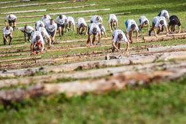 Planica Red Bull 400