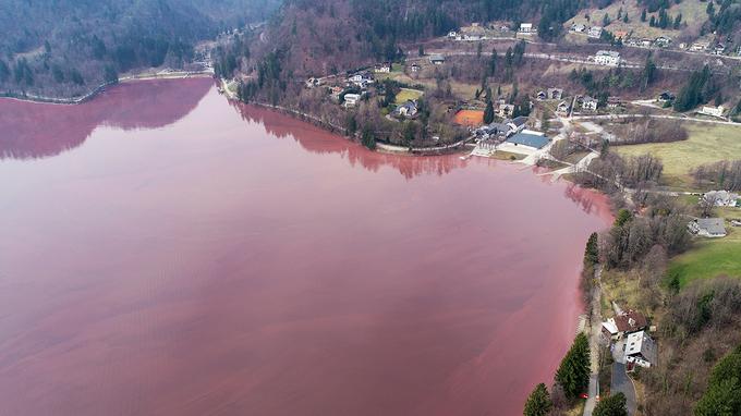 Blejsko jezero rdeče | Foto: Jani Kolman