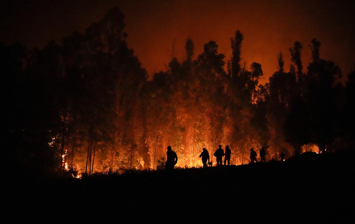 Požar, gasilci, Čile | V požaru na jugovzhodu Turčije je umrlo najmanj 11 ljudi.  | Foto Guliverimage