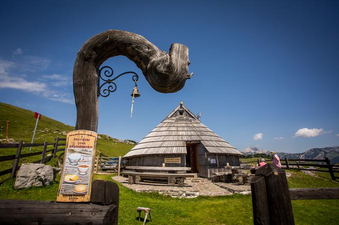 Velika planina | Foto: Žiga Zupan/Sportida