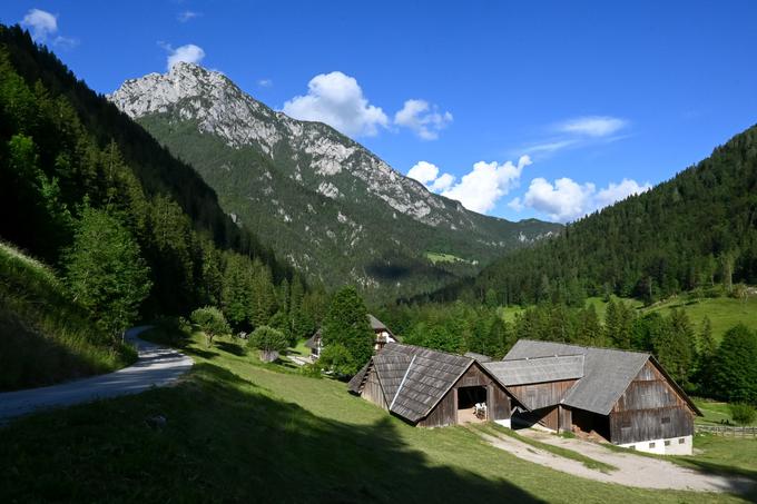 Pogled na Raduho z Robanovega kota. | Foto: Matej Podgoršek