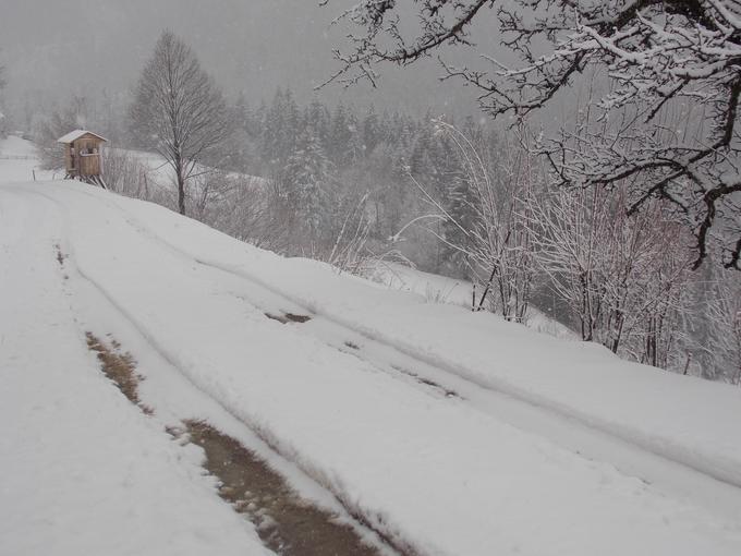 Javorje, okolica Črne na Koroškem | Foto: Bralec Maksimiljan