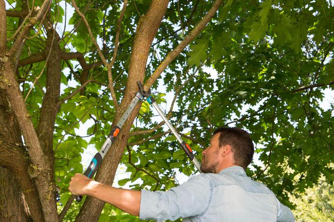 GARDENA Teleskopske škarje za veje TeleCut 650-900 B so primerne za obrezovanje dreves in grmovnic. | Foto: Gardena