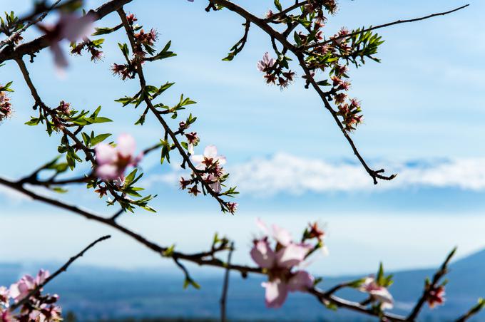 Gorovje Sierra Nevada, Španija | Foto: Thinkstock