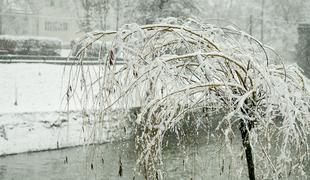 Petkova napoved: nekaj snega in poledica #video