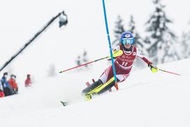 Zlata lisica, slalom