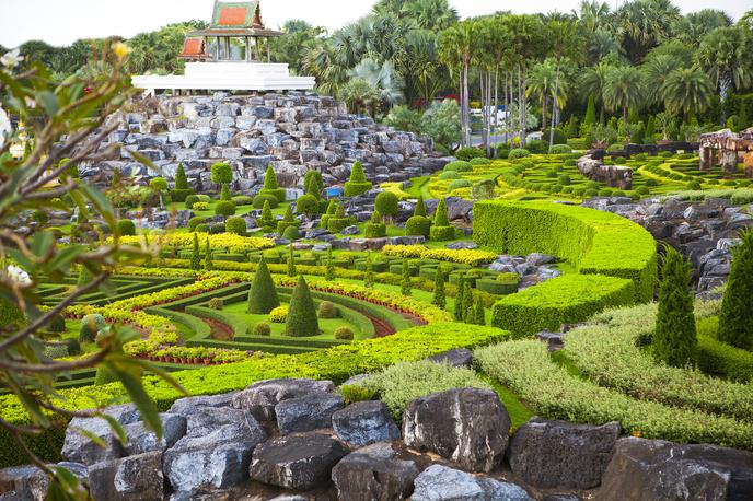 nong nooch | Foto Thinkstock