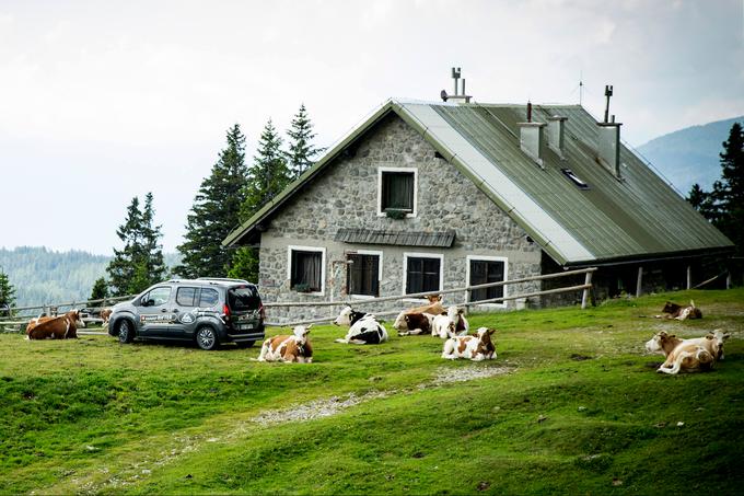 Rifter. Taborniški dom na Šiji. | Foto: Ana Kovač