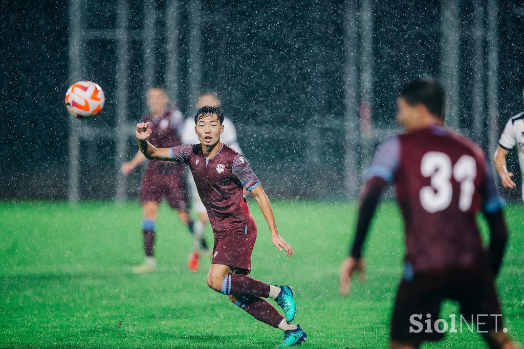 NK Triglav Kranj : NK Brinje Grosuplje, druga liga