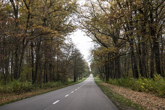 Panoramska cesta med Lvovom in Kijevom. | Foto: Ana Kovač