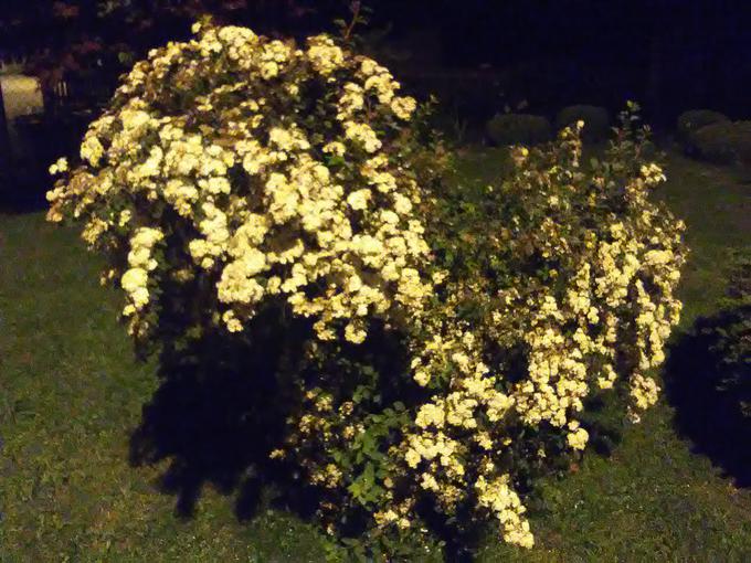 Nočne fotografije so praviloma zelo slabe, vsake toliko pa uspe kakšna kolikor toliko spodobna ... | Foto: Andrej J. Pirnat