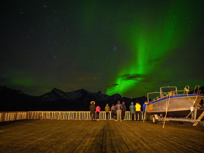 Letos je na Norveškem občudoval kite ubijalce (orke), najbolj pa ga je očaral naravni pojav polarni (severni) sij. | Foto: Arhiv Uroša Stanića